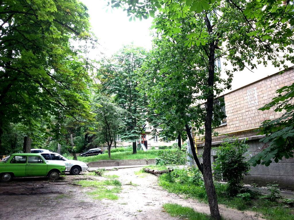 Standard Apartment On Umanskaya Kijev Kültér fotó